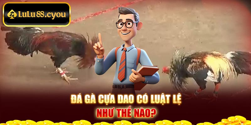 Đá gà cựa dao có luật lệ như thế nào?