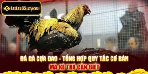 Đá Gà Cựa Dao - Tổng Hợp Quy Tắc Cơ Bản Mà Kê Thủ Cần Biết