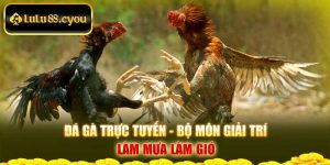 Đá Gà Trực Tuyến - Bộ Môn Giải Trí Làm Mưa Làm Gió