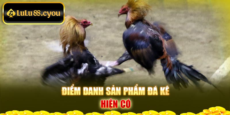 Điểm danh sản phẩm đá kê hiện có