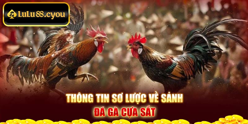 Thông tin sơ lược về sảnh đá gà cựa sắt